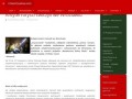 Podgląd strazpozarna.info