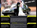 Podgląd pajak.auto.pl