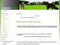 Podgląd scrato.one.pl