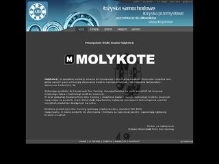 Podgląd molykote.lublin.pl