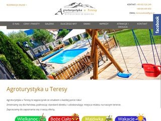 Podgląd tylicz.net.pl