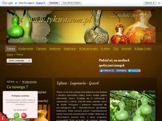 Podgląd tykwa.com.pl