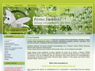 Podgląd firmaswietliki.pl