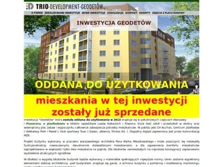 Miniaturka trio-development.pl