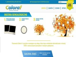 Podgląd coloraf.pl
