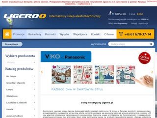 Podgląd ligeroo.pl