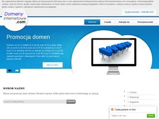 Podgląd domenyinternetowe.com