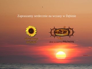 Podgląd wczasy-debina.pl
