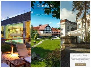 Podgląd drirenaerisspa.com