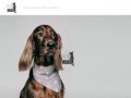 Podgląd hotelcanis.pl