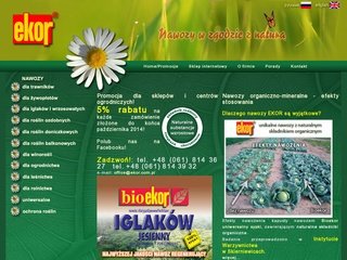 Podgląd ekor.com.pl
