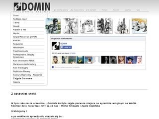 Podgląd domin.pl