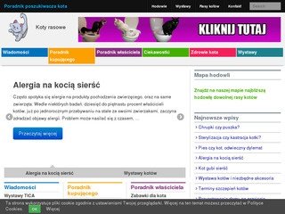 Podgląd kotyrasowe.org.pl