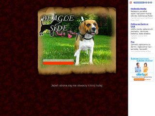 Podgląd beagleside.republika.pl