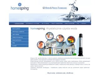 Podgląd homespring.waw.pl
