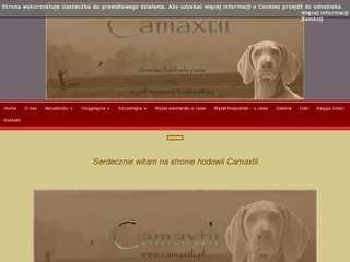 Podgląd camaxtli.pl