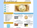 Podgląd e-xcalibur.pl
