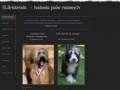 Podgląd xanaduchic.weebly.com