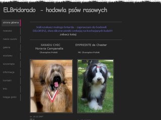 Podgląd xanaduchic.weebly.com