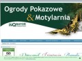 Podgląd arsson.pl