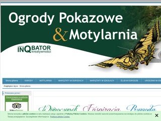 Podgląd arsson.pl