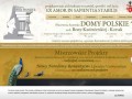 Podgląd domypolskie.pl