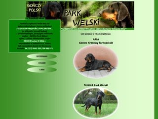 Podgląd gonczy.park.welski.w.interia.pl