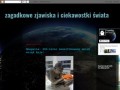 Podgląd zagadkowe-zjawiska-swiata.blogspot.com