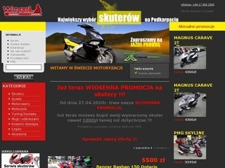 Podgląd wit-pol.pl
