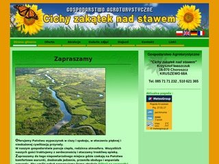 Podgląd agroturystyka-kruszewo.pl