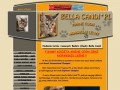 Podgląd bellacandi.com