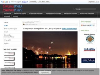 Podgląd cwanaryba.pl