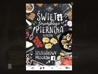 Podgląd kopernik.com.pl