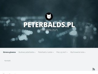 Miniaturka peterbalds.pl