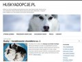 Podgląd huskyadopcje.pl