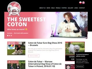 Podgląd coton.com.pl