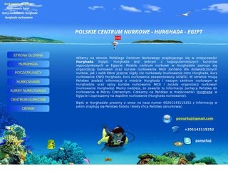 Podgląd ponurkuj.pl