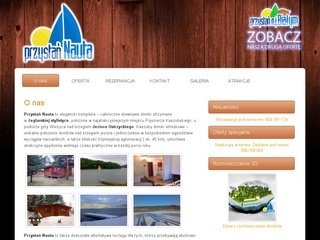 Podgląd naprzystani.pl