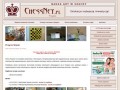 Podgląd chessnet.pl