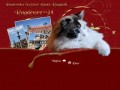 Podgląd ragdesire.com