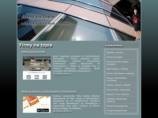 Miniaturka hotex.com.pl