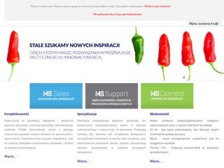 Podgląd msservices.pl