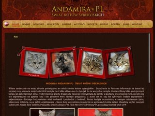 Podgląd andamira.pl