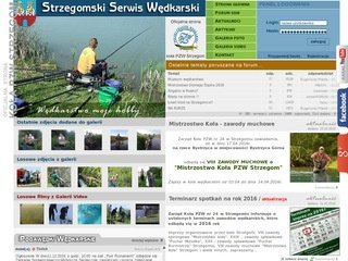 Miniaturka pzw.strzegom.eu
