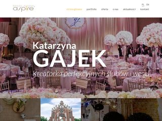 Podgląd aspire.pl
