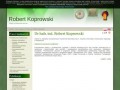 Podgląd robert.frk.pl
