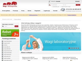 Podgląd wagiwlkp.pl