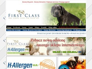 Miniaturka firstclass-polska.pl