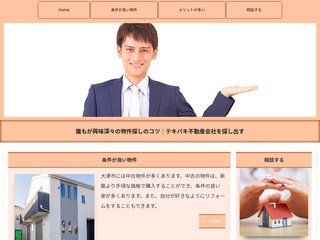 Podgląd projektydomow24.net