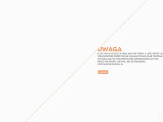 Podgląd goudablog.pl